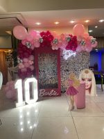 دکور تولد باربی T1020