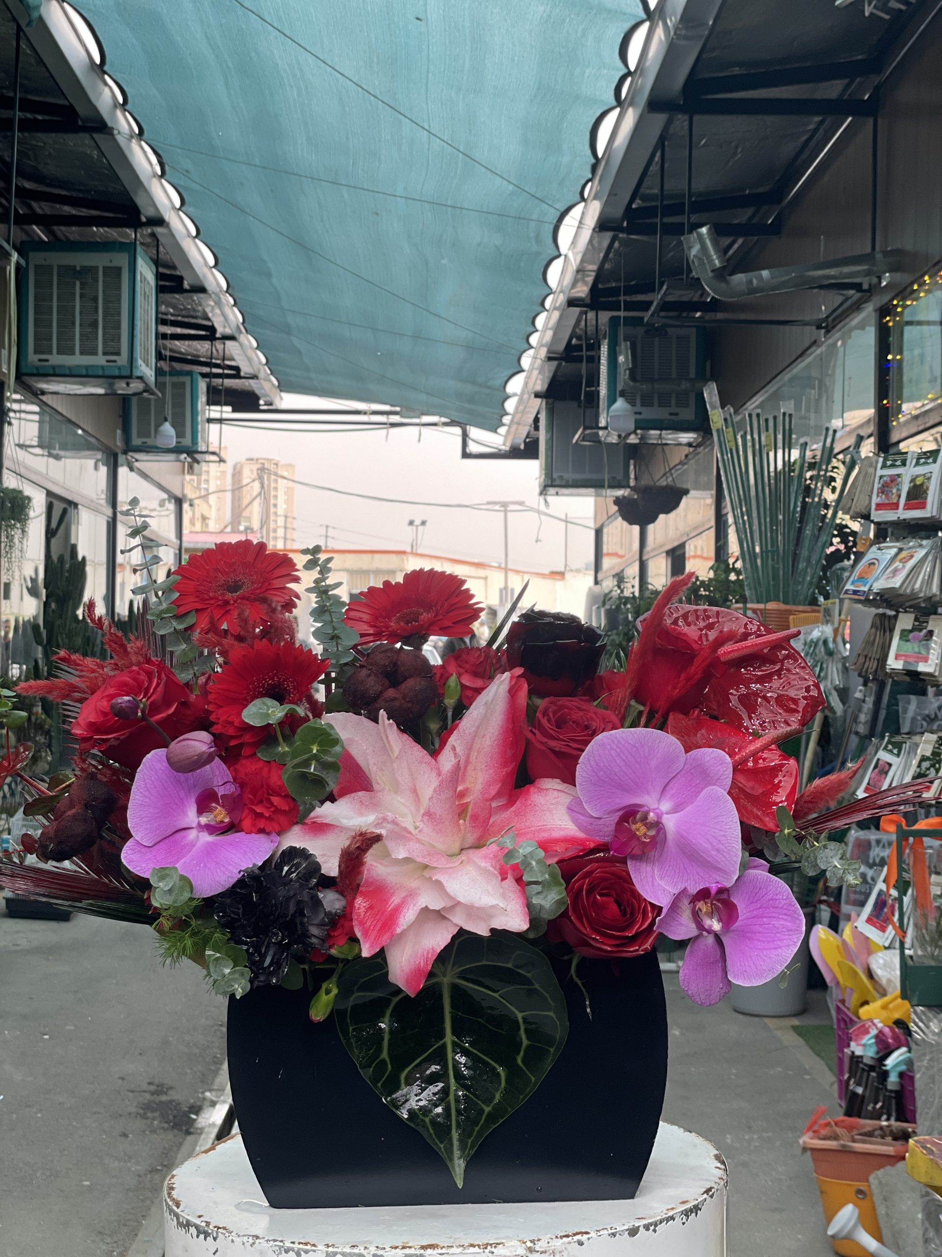 IMG_4085 باکس گل تپش سرخ - تصویر 1